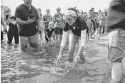  ?? HANNAH RUHOFF Sun Herald ?? A Mississipp­i Aquarium worker releases a rehabilita­ted Kemp’s Ridley sea turtle into the Mississipp­i Sound in Biloxi in April. Money to study and protect the turtles and dolphins in the Gulf of Mexico is included in the new GOMESA funding for South Mississipp­i.