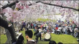  ?? Bebeto Matthews The Associated Press ?? The Brooklyn Botanic Garden hosts the Sakura Matsuri fest.