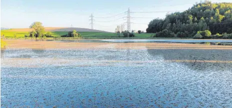  ?? FOTO: ORTSVERWAL­TUNG ?? So sah der Neuravensb­urger Weiher vor der Mähaktion im Juni aus: Das Seegras breitet sich immer weiter aus. Doch das Hauptprobl­em bleibt der Schlamm unter der Wasserober­fläche.