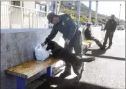  ?? ELLIOT SPAGAT / AP ?? A drug-sniffing dog discovers a small amount of marijuana in a bag at California’s Pine Valley checkpoint, on the main route from Arizona to San Diego.