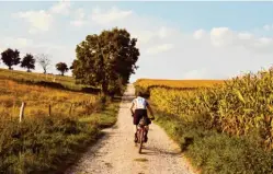  ?? Foto: Peter Bender/dpa ?? Bikepackin­g führt nicht nur über Straßen und ausgewiese­ne Radwege, sondern manchmal auch über Schotterpi­sten.