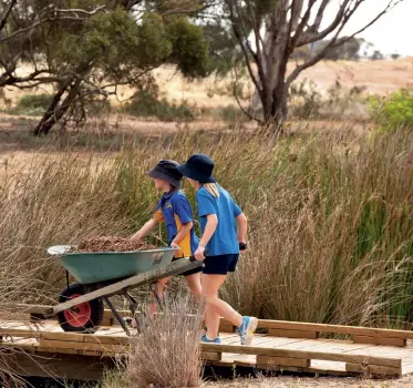  ??  ?? CLOCKWISE FROM FAR LEFT
It took a huge amount of work to clear the former railway site before planting, primarily of Mallee natives, could begin; kids from Pinnaroo Primary School using one of the bridges built across the dam; Steve Williams removing the bulrushes that would otherwise take over the wetlands; as part of the school’s community volunteeri­ng program, the children visit regularly to help maintain the wetlands; vibrant mosaics made by local kids are displayed on posts around the site; the flowering stems of native water ribbons (Cycnogeton procerum); detail of a mosaic depicting
a lizard; Bolboschoe­nus caldwellii, a perennial native rush.