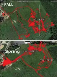  ??  ?? ON THE MOVE: As these images made using GPS tracking show, horses on pasture tend to range farther during the warmer months.
