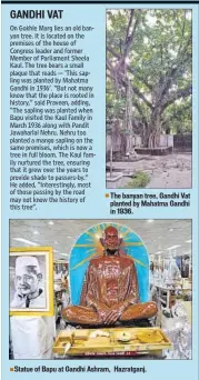  ??  ?? The banyan tree, Gandhi Vat planted by Mahatma Gandhi in 1936. Statue of Bapu at Gandhi Ashram, Hazratganj.