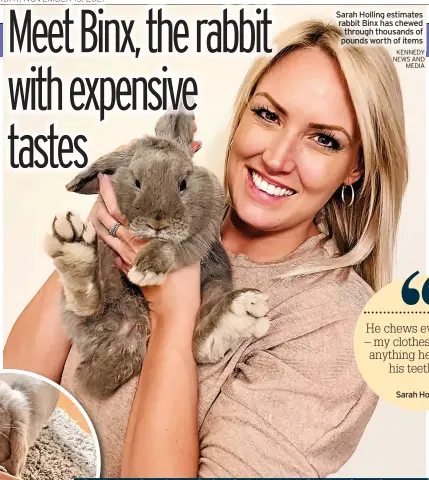  ?? KENNEDY NEWS AND MEDIA ?? Sarah Holling estimates rabbit Binx has chewed through thousands of pounds worth of items