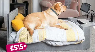  ?? ?? Petflix and chill: Antonia’s labrador Herbie settles down on the Pup-Vision Upholstere­d TV Bed