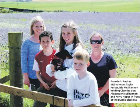  ??  ?? From left: Andrea McShannon, Taylor Purser, Isla McShannon holding Cleo the dog, Alexander McShannon and Kerry Hopes in front of the purple phacelia.