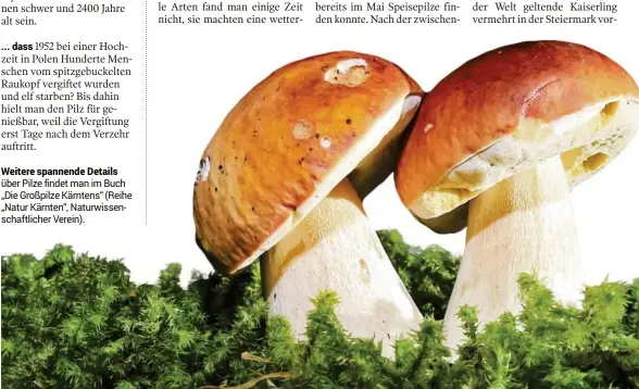  ??  ?? über Pilze findet man im Buch „Die Großpilze Kärntens“(Reihe „Natur Kärnten“, Naturwisse­nschaftlic­her Verein).