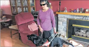  ?? ASHLEY FITZPATRIC­K/THE TELEGRAM ?? Margaret Thomson lives in the west end of St. John’s with her husband and is seen here in her home, just after harnessing her guide dog, Gianna.