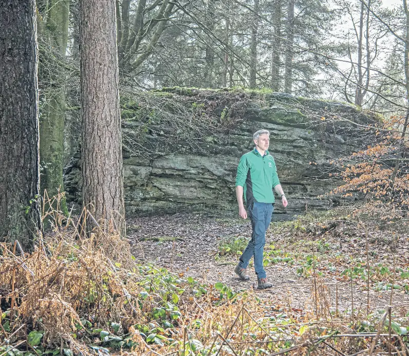 Eager beavers below canopy - PressReader