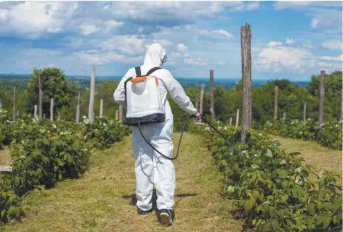 ?? ISTOCK ?? L’industrie des pesticides a réussi jusqu’ici à contrer les efforts pour les interdire.