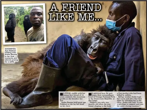  ?? ?? GOODBYES: Ape Ndakasi holding onto Andre Bauma in her final moments and (above) posing for a selfie