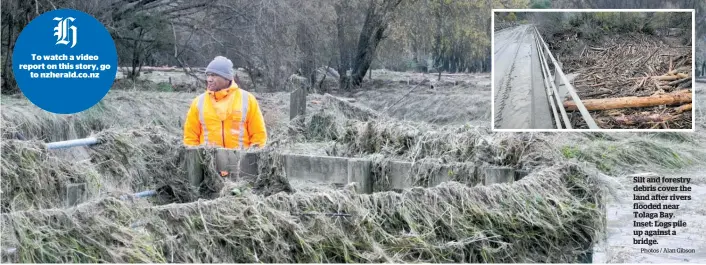  ?? Photos / Alan Gibson ?? Silt and forestry debris cover the land after rivers flooded near Tolaga Bay. Inset: Logs pile up against a bridge.