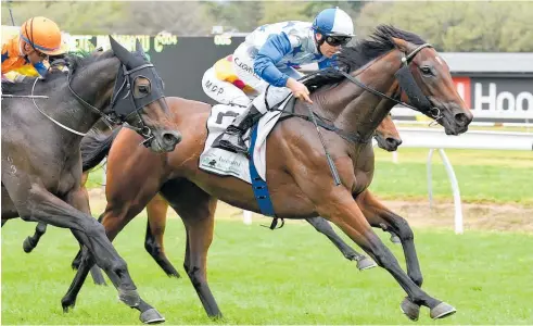  ?? Picture / Race Images ?? Charles Road winning the Manawatu Classic last season.