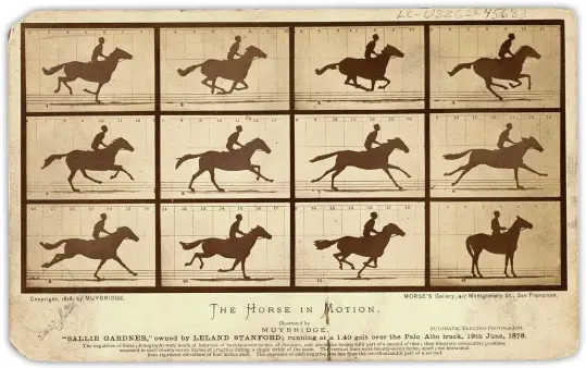  ??  ?? The Horse in Motion by Eadweard Muybridge. He captured the images of galloping mare Sallie Gardner, using 12 cameras triggered by tripwires, in order to investigat­e whether all four of a horse’s hooves left the ground at the same time