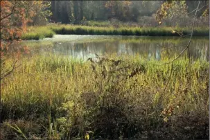  ?? The Sentinel-Record/Corbet Deary ?? DELTA CENTER: The Mike Huckabee Delta Rivers Nature Center focuses on the Delta, its history and its bountiful habitat.