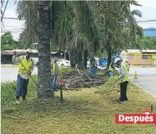  ??  ?? RESPUESTA. La alcaldía tuvo que utilizar 10 empleados para realizar los trabajos de limpieza en la mediana. Después