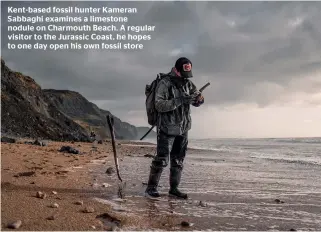  ??  ?? Kent-based fossil hunter Kameran Sabbaghi examines a limestone nodule on Charmouth Beach. A regular visitor to the Jurassic Coast, he hopes to one day open his own fossil store