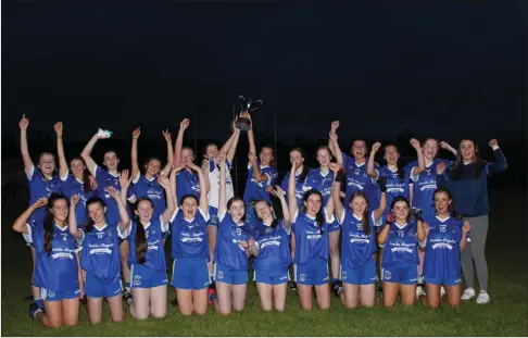  ?? ?? The victorious Kinawley U18 Girls side that secured the U18 Championsh­ip title with a win over Derrygonne­lly. PHOTO: Kinawley GAA
