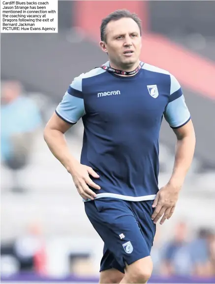  ??  ?? Cardiff Blues backs coach Jason Strange has been mentioned in connection with the coaching vacancy at Dragons following the exit of Bernard Jackman PICTURE: Huw Evans Agency