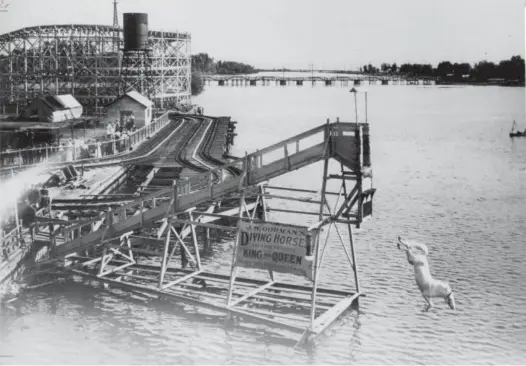  ?? WILLIAM JAMES/CITY OF TORONTO ARCHIVES ?? Diving horses were a major attraction at Hanlan’s Point in the early 1900s. J.W. Gorman’s two white diving horses, King and Queen, would walk up a steep platform and dive into Lake Ontario “without a whip and with the horses’ own volition.”