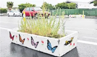  ?? PHOTO: LINDA ROBERTSON ?? Ugly and dangerous . . . Mosgiel residents are calling for planter boxes, installed as part of the MosgielTai­eri Safer School Streets project, to be removed.