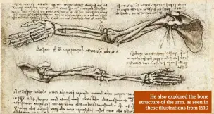  ??  ?? He also explored the bone structure of the arm, as seen in these illustrati­ons from 1510