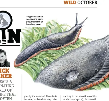 Hidden Britain - PressReader