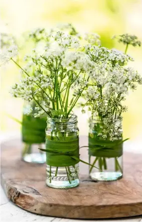  ??  ?? Spice jars or other small glass containers can be grouped together for a miniature display of fine-stemmed floral clusters.