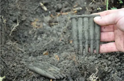  ?? (Reuters) ?? NO MORE Holocaust denial. Unused rounds of ammunition are seen after archaeolog­ists uncovered a mass grave of Jews killed by Romanian troops during World War Two.