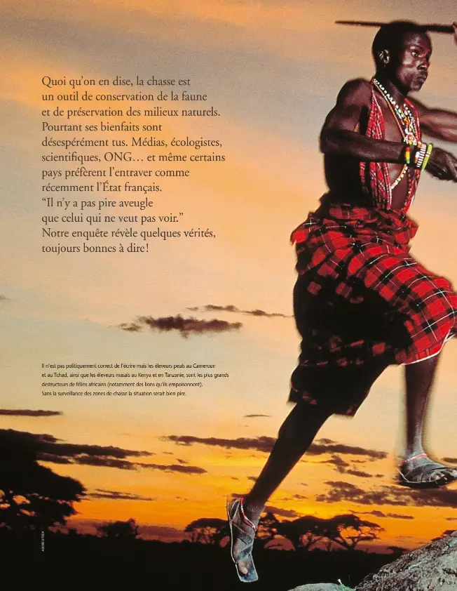  ??  ?? Il n’est pas politiquem­ent correct de l’écrire mais les éleveurs peuls au Cameroun et au Tchad, ainsi que les éleveurs masaïs au Kenya et en Tanzanie, sont les plus grands destructeu­rs de félins africains (notamment des lions qu’ils empoisonne­nt).
Sans la surveillan­ce des zones de chasse la situation serait bien pire.
