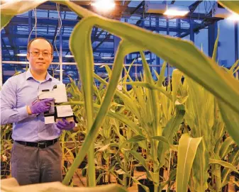  ?? PURDUE UNIVERSITY ?? Jian Jin, a research engineer at Purdue University in the US, with the LeafSpec hyperspect­ral leaf imager, which he designed. The device will make it possible for farmers to conduct detailed leaf analysis within seconds in their fields.