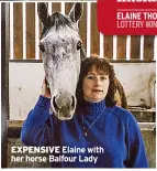  ?? ?? EXPENSIVE Elaine with her horse Balfour Lady