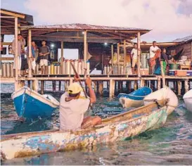  ?? ENA MUCHA/THE NEW YORK TIMES ?? Divers gather last year in Diamond Cay, a village 60 miles off the coast of Nicaragua. Catching spiny lobsters is a dangerous pursuit for the mostly Indigenous fishermen along the country’s Caribbean coast.