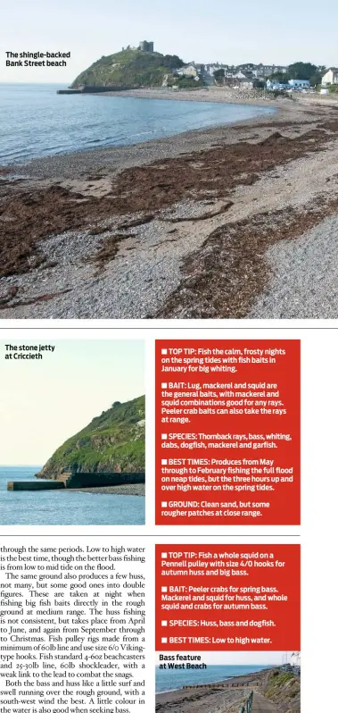  ??  ?? The stone jetty at Criccieth Bass feature at West Beach The shingle-backed Bank Street beach
TOP TIP: Fish the calm, frosty nights on the spring tides with fish baits in January for big whiting.
BAIT: Lug, mackerel and squid are the general baits,...