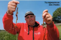  ??  ?? Try ragworms on size 2 hooks
