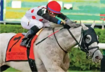 ?? Picture: Blood-Horse. ?? DUBAI TURF. USA champion World Approval, trained by Canadian Mark Casse, is taking aim at the Dubai Turf on World Cup Night at Meydan on 31 March.