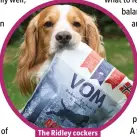  ??  ?? The Ridley cockers eat the unenticing­ly named VOM