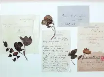  ?? COURTESY THE CANADIAN WAR MUSEUM ?? Examples of pressed flowers and letters from WAR Flowers, A Touring Art Exhibition.