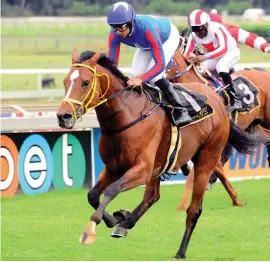  ?? Photograph­ics Picture: JC ?? WELL WEIGHTED. Like A Panther comes into the G-Bets Gauteng Summer Cup on a very good weight and a fast pace will work in his favour in the R2-million race over 2000m at Turffontei­n on Saturday.