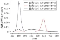  ??  ?? 图 1
PCC6715 的培养光质
PCC6715