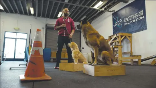  ?? NETFLIX ?? Oakland dog trainer Jas Leverette at work in episode 6 of the new Netflix series “Canine Interventi­on.” In the series he stresses that there are no bad dogs — “only uninformed people.”