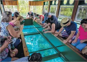  ?? PATRICK CONNOLLY/ORLANDO SENTINEL ?? Visitors enjoy a glass bottom boat tour at Silver Springs State Park last Thursday.