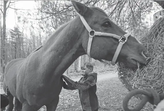  ??  ?? Caleb Fournel takes care of one of the many horses at the Fournels’ family farm in Edelweiss, Que., in April. Caleb, has a rare condition known as PANDAS. Caused by a strep infection, it suddenly sparks a range of psychiatri­c symptoms. In Caleb’s case...