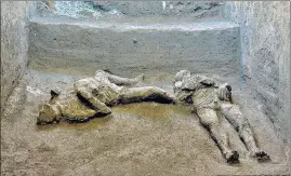  ??  ?? The casts of the bodies of the two men found in recent excavation­s on the outskirts of Pompeii.