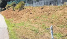  ??  ?? Die kahlen Stellen als Beweis des Verstoßes. Der Laichinger Bauhof ließ Hecken und Sträucher roden, rechts unten: das Gerät im Einsatz.