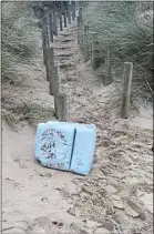  ??  ?? Un des coussins de l’avion trouvé par Josette sur une plage normande.