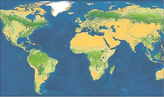  ?? THOMAS CROWTHER / UNIVESRIDA­D DE YALE ?? On hi ha més arbres. La densitat més gran d’arbres (verd fosc) es registra a a les regions subàrtique­s d’Escandinàv­ia, Rússia i Amèrica del Nord; la quantitat més gran (un 43% del total mundial), a regions equatorial­s i tropicals