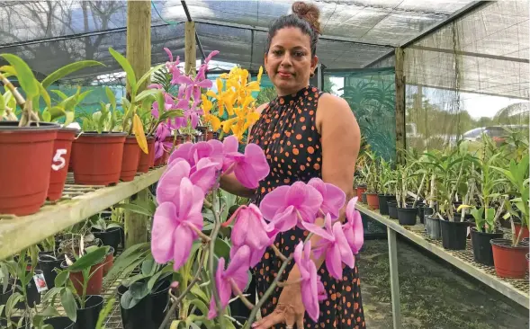  ?? Photo: ?? Praveena Sujita stands among her plants inside her horticultu­re greenhouse in Koronivia, Nausori on January 24, 2018.