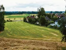  ??  ?? Auf dieser Hangwiese und dem darunterli­egenden Feld sollen neue Häuser am Ortsrand von Bergheim entstehen – was nicht jedem gefällt.